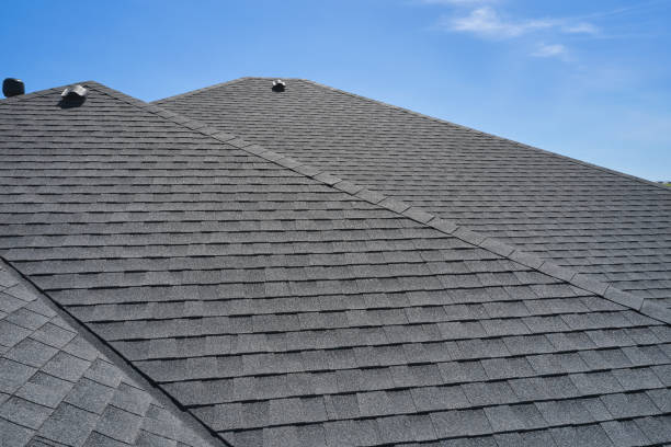 Best Skylight Installation and Repair  in Port Clinton, OH
